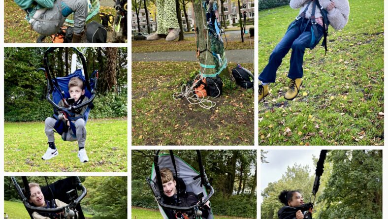 De kinderen kunnen de boom in