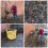 Groot onderhoud Tuin